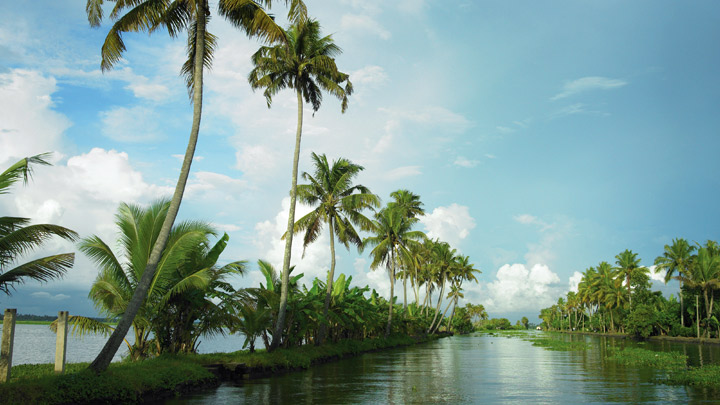 kerala backwaters activity in india