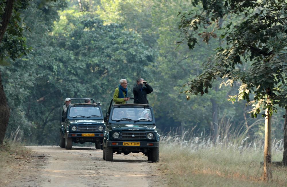 bandhavgarh national park