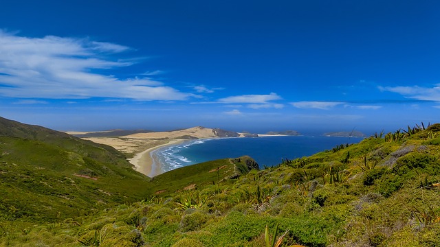 bay of islands new zealand