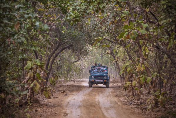 gir national park gujarat