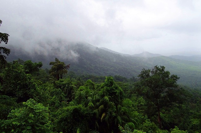 mollem national park goa