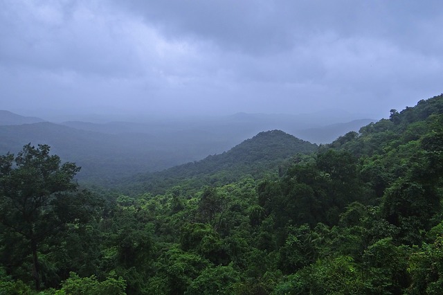 Mollem National Park Goa