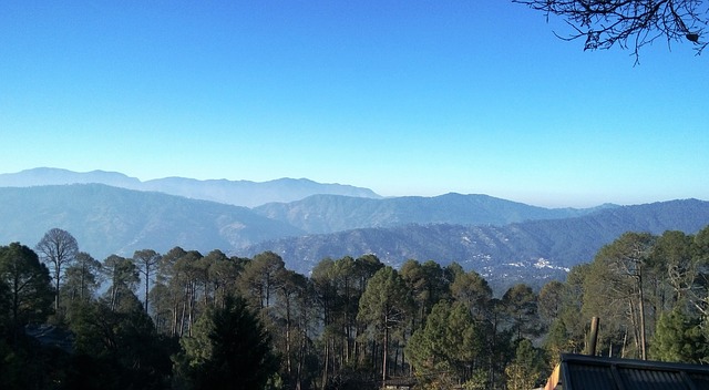 ranikhet uttarakhand activity