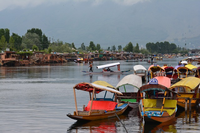 srinagar jammu & kashmir activity