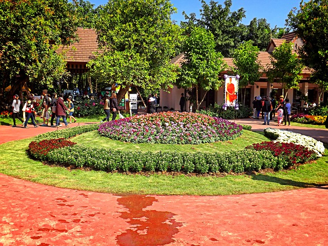 flower festival chiang mai