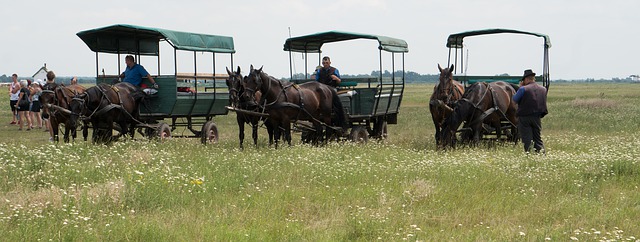 hortobagy national park